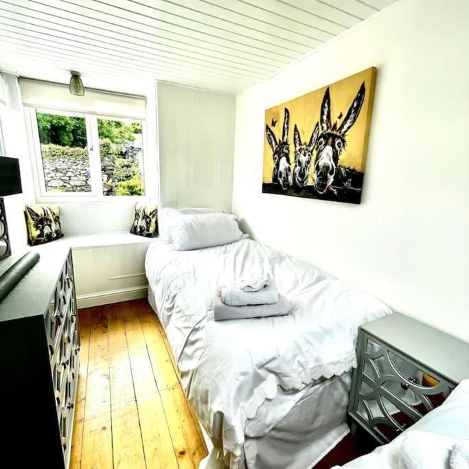 Country With Hot-tub And Cosy Log Burner Holiday home Tregarth